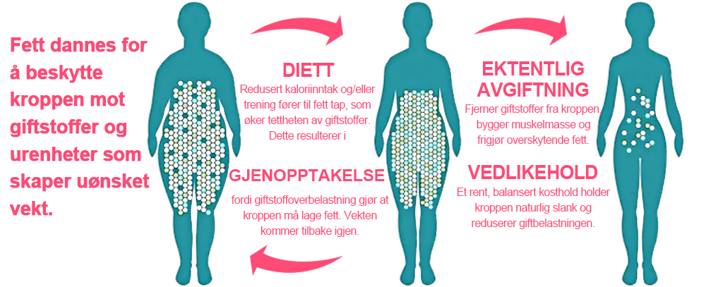 𝑷𝑬𝑨𝑹𝑳𝑴𝑶𝑶𝐍™ Isesilke Ionfiber Reparerende og Formende Shorts 👨⚕️Fettforbrenning, oppstramming av huden, fremmer blodsirkulasjon og lymfedrenasje for helhetlig helse
